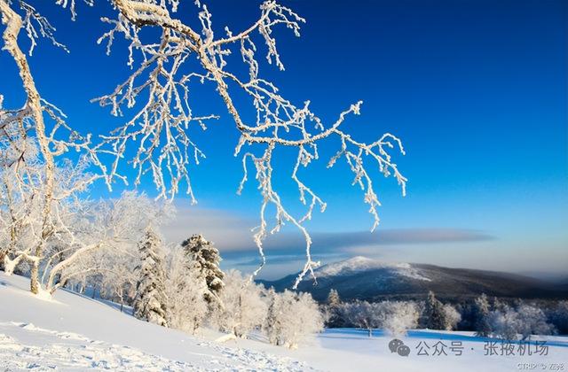 【张掖机场】经北京中转，630元可飞哈尔滨/义乌/延吉/佳木斯/东营...