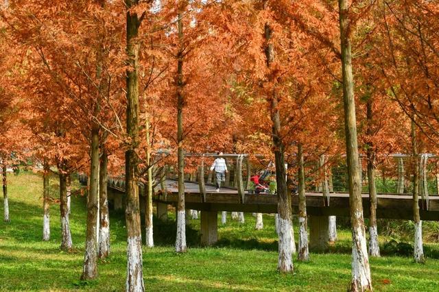 青睐绵阳 || 这里，绝美，超出片！