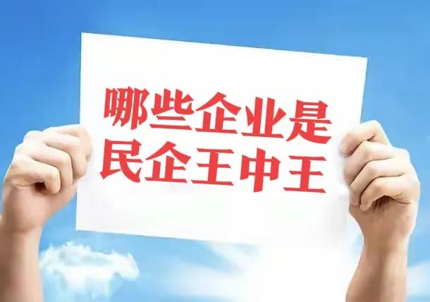 谁是民营企业“王中王”？腾讯控股、阿里巴巴、华为投资、比亚迪
