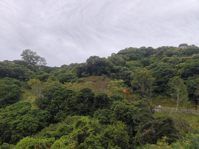 西丽湖国际科教城绿道高清随拍