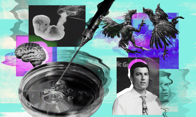 实锤？马斯克的14个娃，是基因筛选过的“超级婴儿”？