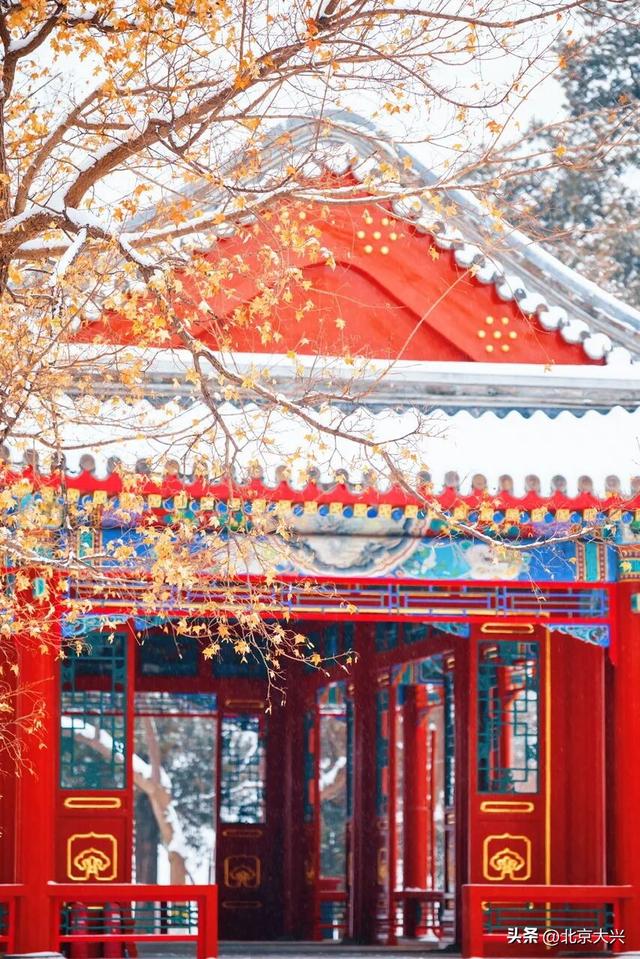 北京等雪来！故宫约不上？大兴团河行宫遗址公园藏着一样美的皇家雪景