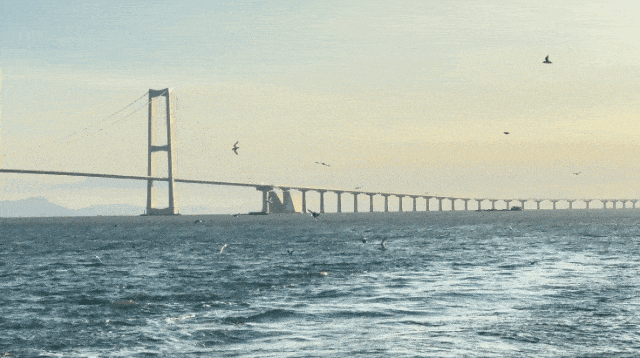 前海看海黄金季来啦，不出发真的会后悔！