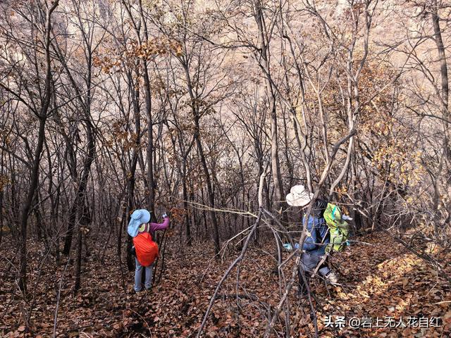 长城徒步之95：赤城万水泉村至琵琶村长城，遇42眼护城墩和圆楼
