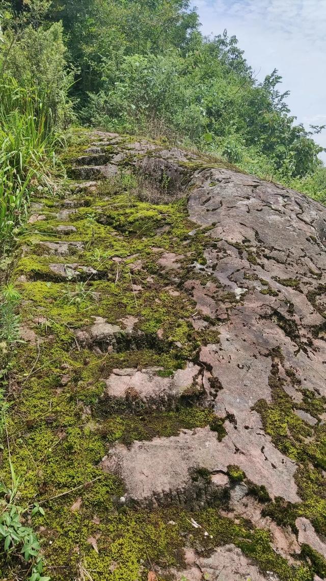 重庆北碚有一座濒临消失的古寨，寨主竟曾是美国总统罗斯福的同学