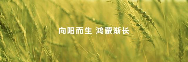 余承东央视谈鸿蒙5：千万终端里程碑下的技术创新与生态共建热潮