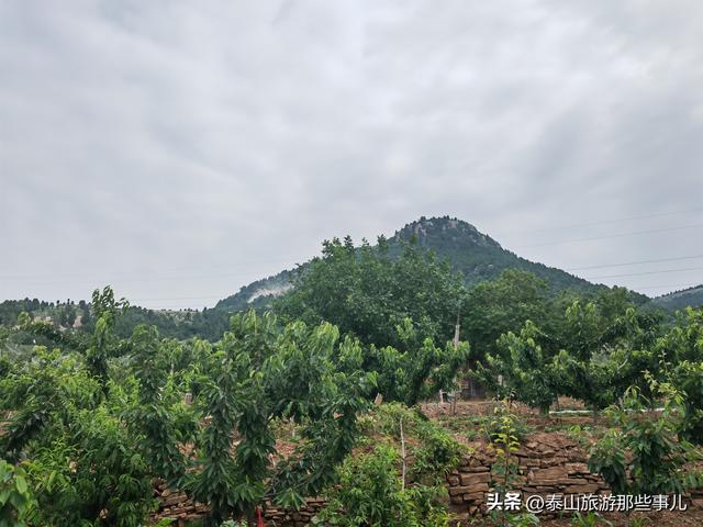 泰安：它被誉为“将军故里”，一个近郊游的小众景点，盛产大樱桃