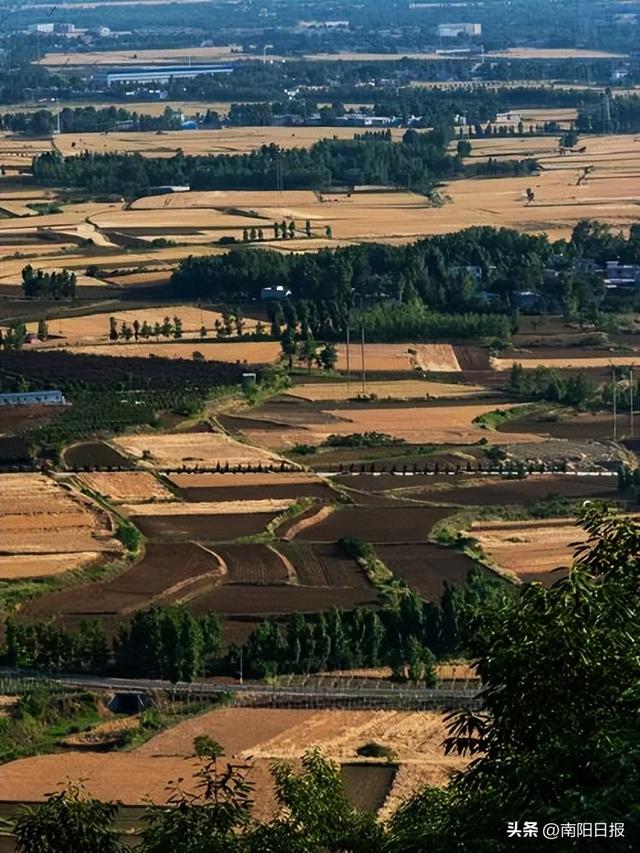 南阳秋色进行时：99%游客错过的6处绝美机位全公开