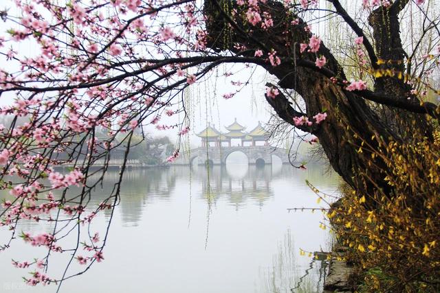 3月4月，10处绝佳踏春地，寻春踏青安排起来