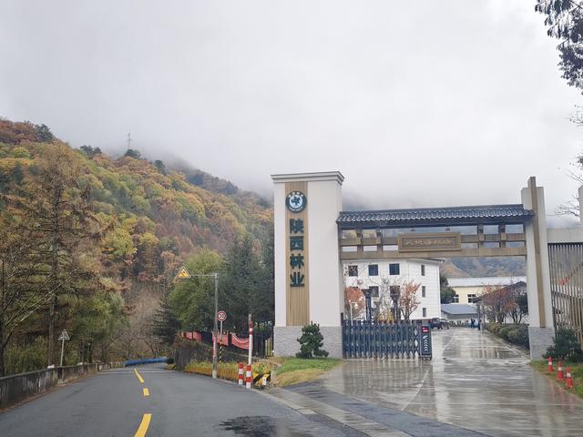 南行漫记：329公里的穿越之路，带你一起看红叶