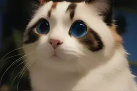 "绝育手术对猫咪心理健康的影响：如何促进它们的幸福和适应能力"图片