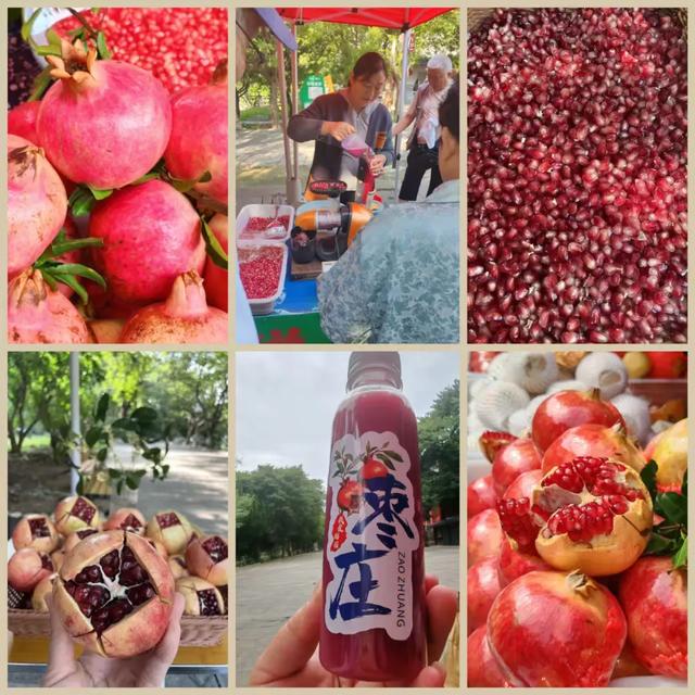 九九重阳 情暖青檀 | 陪父母寻一场秋日最诗意的慢旅行