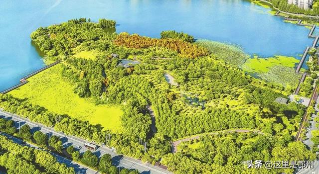 咔嚓🤳！抓住鄂州秋天的“小尾巴”~