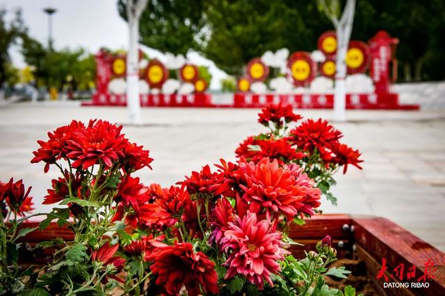 一眼心动！大同文瀛湖风景区“国旗+鲜花”扮靓“双节”~