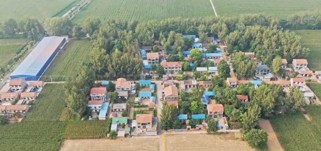 魅力曹县楼庄镇