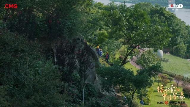 青山入城廓，碧水绕巴渝：重庆绘就山水之城绿色转型新图景