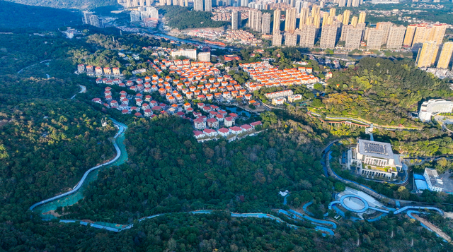 负氧离子爆表！绶溪荔林、郊野溪谷、莆阳福道，解锁莆田 “森” 呼吸新方式