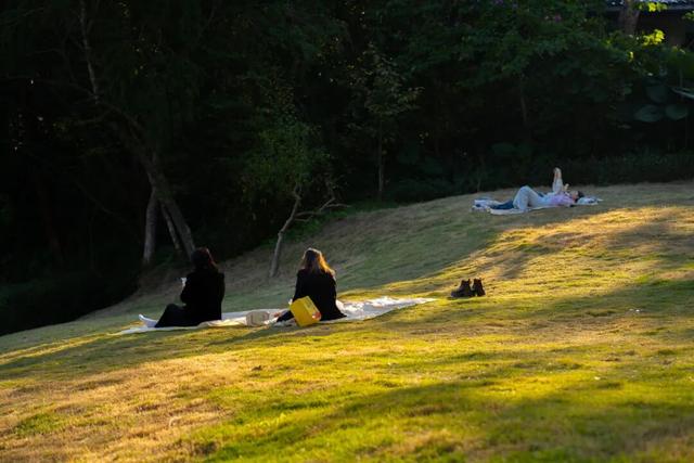 官宣！云浮要去内蒙古 “交换冬天”！