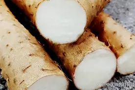 陈皮“第一名”，痰湿重的人多吃3个食物，化掉体内痰湿，阳气足图片