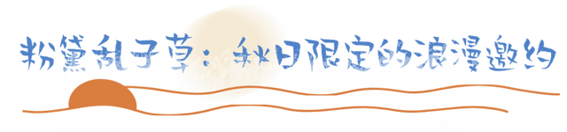 【山水秘境·秋色漫游】来下石硼，邂逅“神龟卧三峡”的诗意与浪漫！