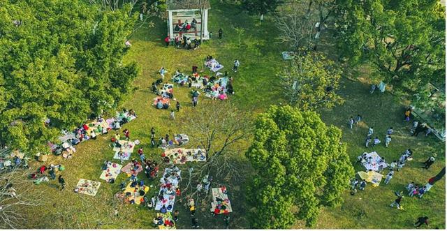 当“地域梗”促成本土叙事：寻找“在地生活”的人