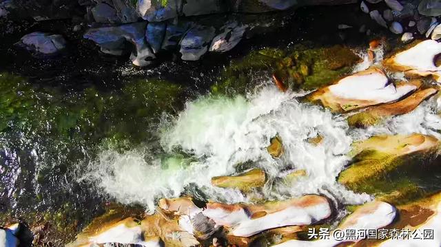 西安人的夏日消暑指南,黑河的清凉山水比空调更治愈→
