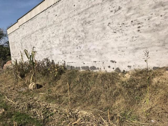 邢台“一家五口遇害案”将开庭，男子痛失父母妻儿5人：小儿子年仅3岁，凶手的小舅子曾认我爷爷为干爹