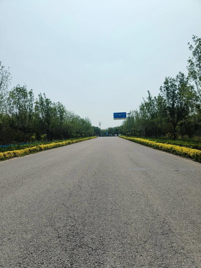 天津《团泊湖》