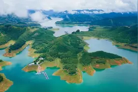 曾经的钓鱼天堂，如今被罗非鱼“霸占”，钓不光吃不完，如何破解图片