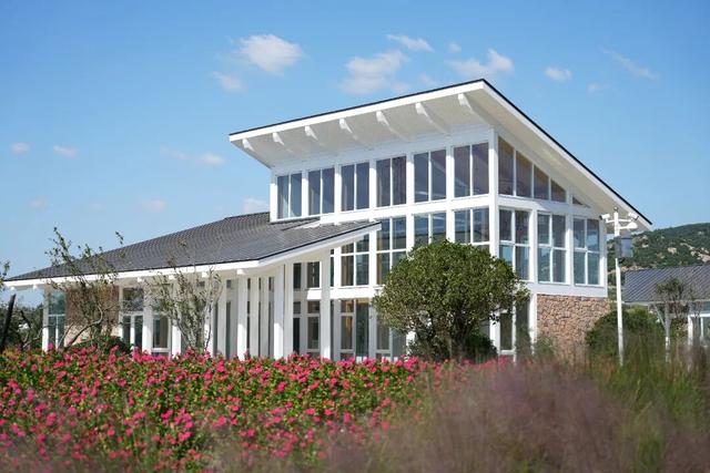 全球榜！中国榜！日照入选三大榜单！2026必来打卡！