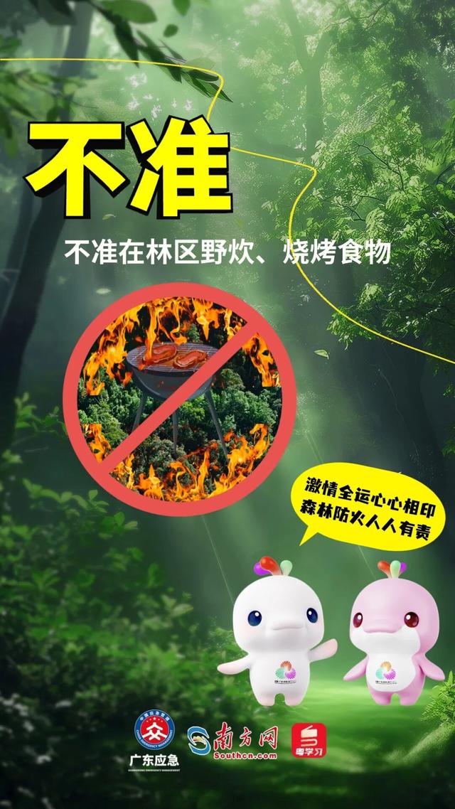 森林特别防护期，严禁这些行为→