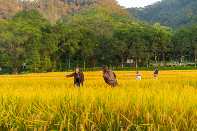 就现在，一起去南山公园遛弯~