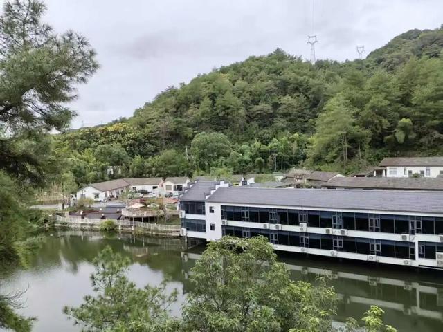 临安最香的桂花，在大梁山上