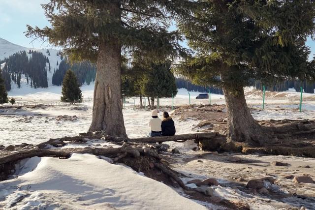 如要选一个冬季最佳拍雪景的地方,首选一定是它
