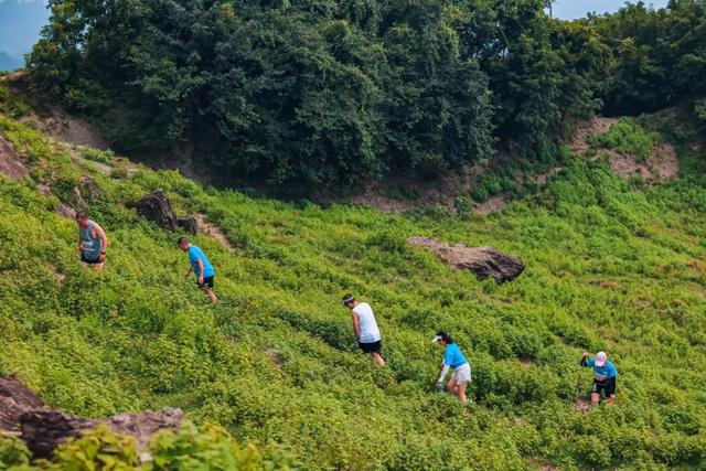 【参赛名单查询】中国体育彩票“巅峰湖南·2025”(八面山站)