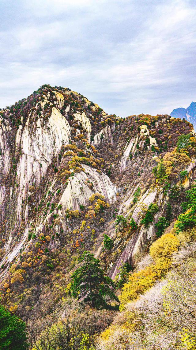 魂牵梦萦，我登上思念已久的华山.......