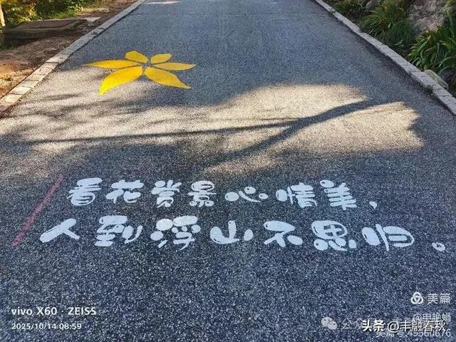 浮山漫记：藏在青岛城央的自然诗篇｜申艳娟