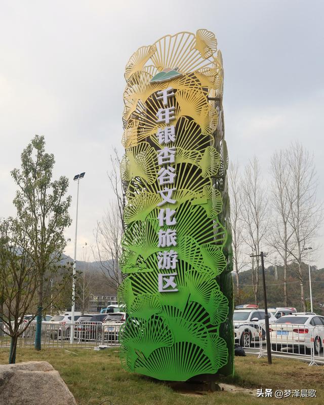 湖北随州，千年银杏谷 自然与人文的诗意交响