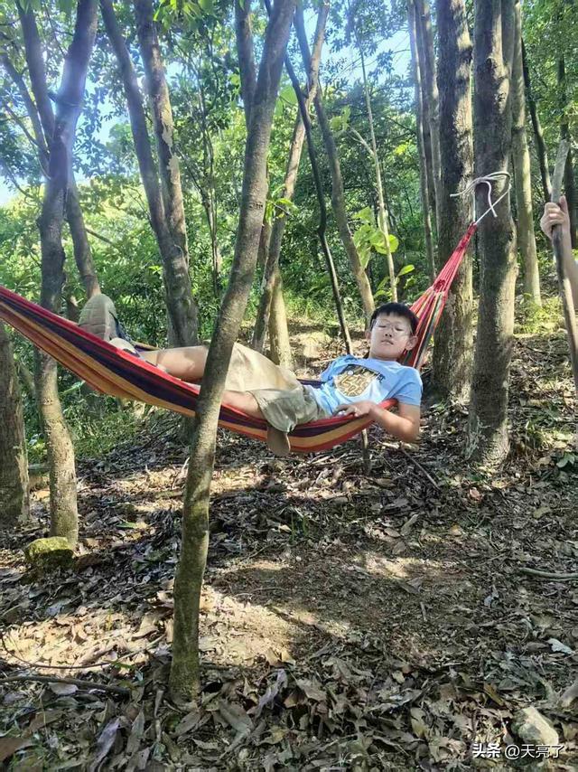 远离补习班，奔向山野间：我们用一身泥土，换回一个“开挂”的娃