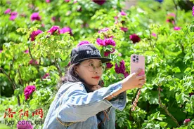 隋唐城遗址植物园：赏花游园正当时图片