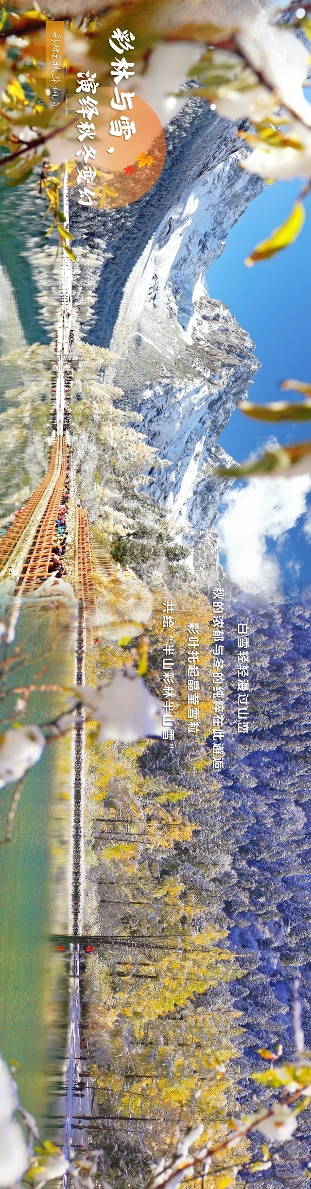 拍了拍毕棚沟的秋天：你的色彩已存档！