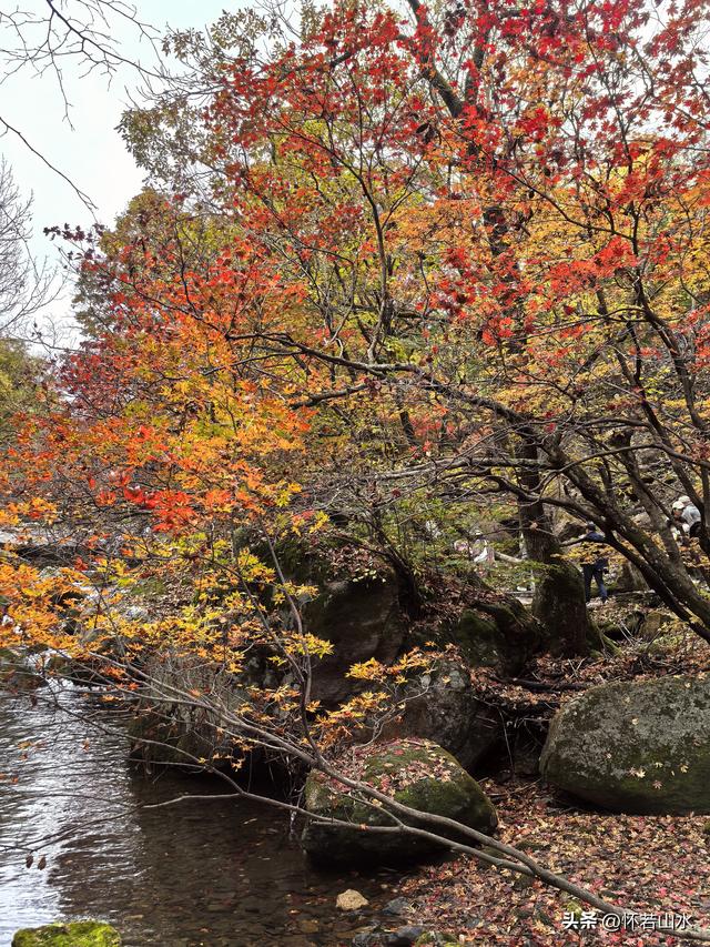 2025辽宁赏秋之旅日记(3)——游览洋湖沟和老边沟