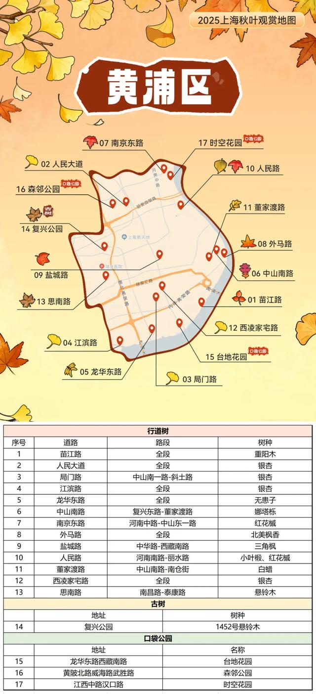 2025上海秋叶地图出炉，徐汇这些点位不可错过！