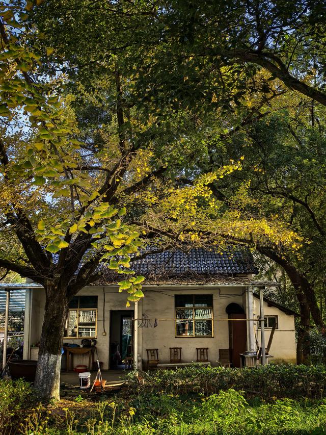 徒步八都岕黄金大道