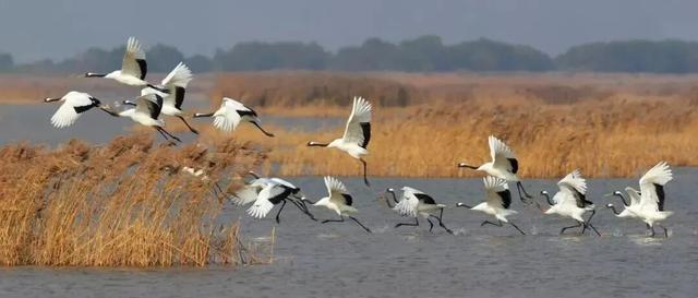 冬日畅游齐鲁，相约乐GO山东！