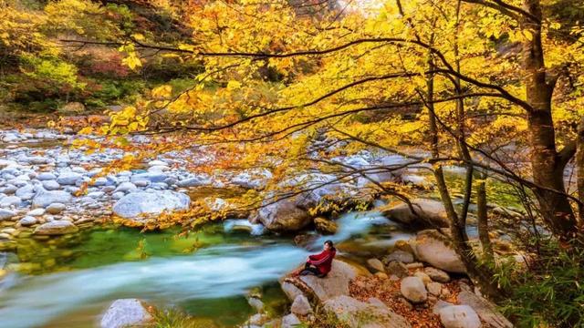 广元不远 周末优选 | 初露染山河，广元发来一份秋日邀请函