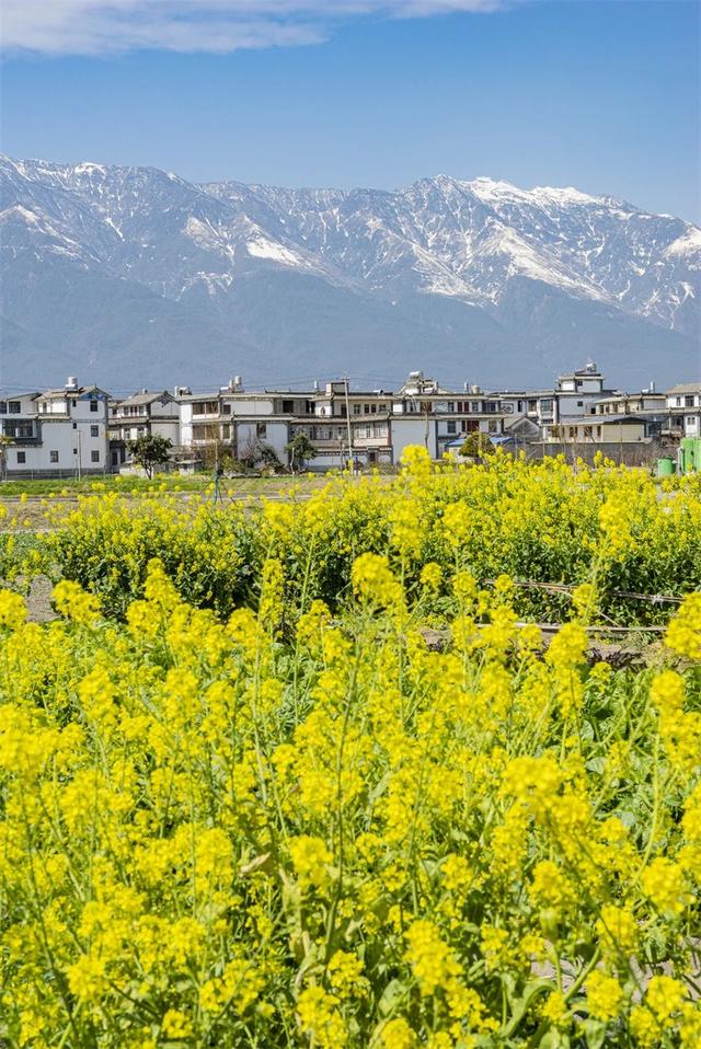 强烈建议3-5月走起的9条自驾路线，春天花开成海，沿途美成天堂！