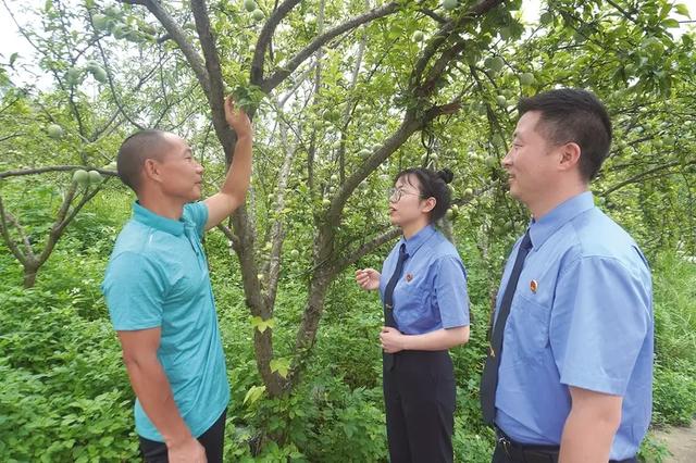 让游客在山水间感受法治温度——安顺为一流旅游城市建设注入坚实法治动能