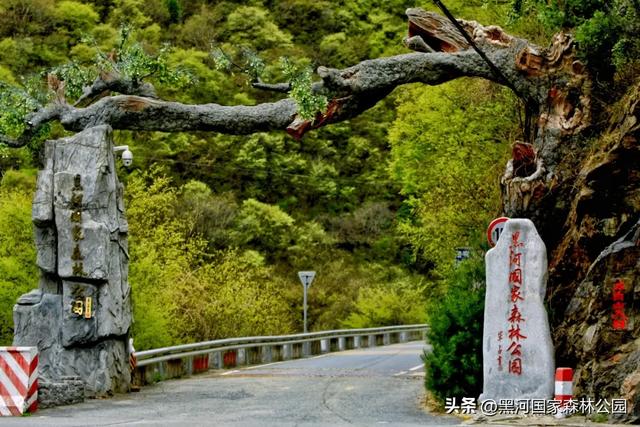 绿野仙踪+山水秘境！快来黑河抓住夏天的尾巴，奔赴一场绿意清凉之约