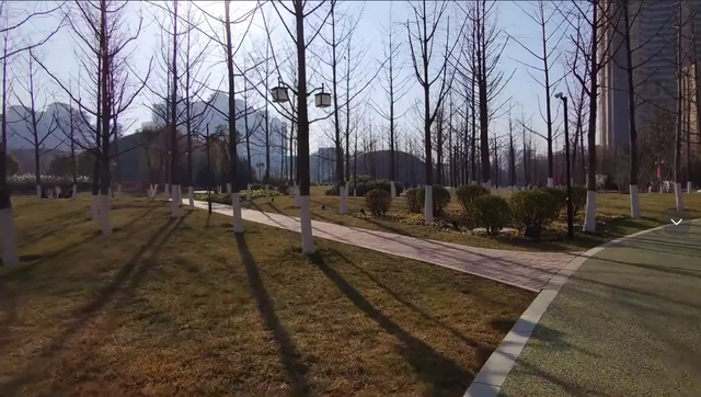 西安奇特的城市公园，规模不大全是古墓，试问夜晚游玩怕不怕